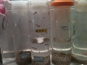 o0480036011069134371