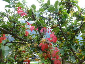 P1060046