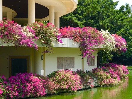 5B8851C2-8027-48B3-95AC-CE14D8D39B52