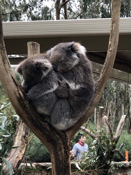 D8F60CA7-9406-4FE0-9D0C-18E4FE3F7A40