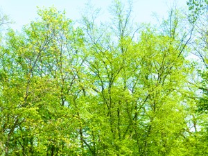 P1070653