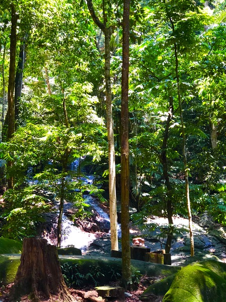 3BB5FD12-7076-4BB0-8CA5-D881C67143CA