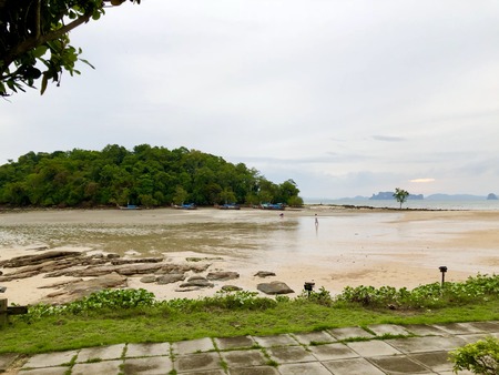 687C01D3-BC1D-4769-89FF-55D92C4C6BEE