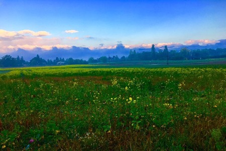 02FF8852-BBC9-4BAC-9B22-C3FD07AD6EAF