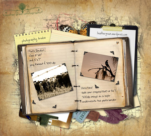 Photo_Borders_by_cesstrelle