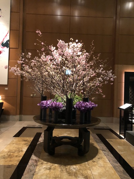 62ABC8B1-A68E-4700-8517-978FD45D58A9