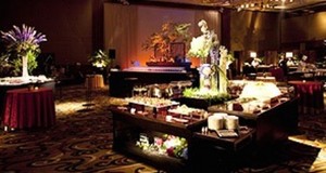 pro  ana hotel    party