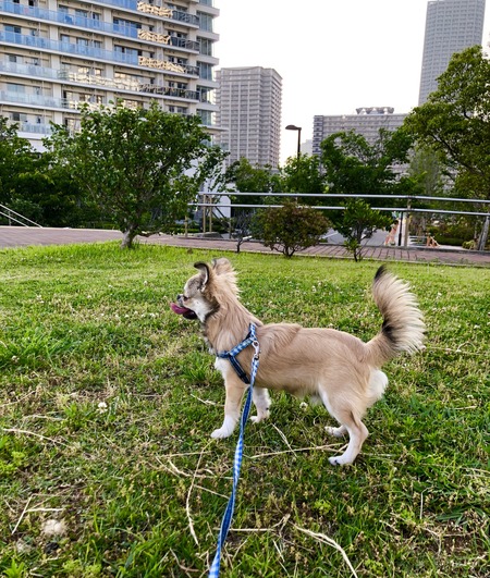 72A0890A-DF55-47C1-A9C1-73815C6129B6