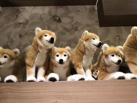 2F0A5722-D84F-43B4-9EA1-BD3AE328CCA4