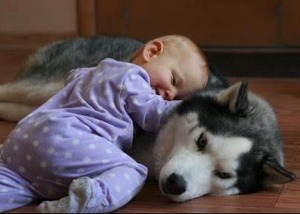 secret garden baby and dog