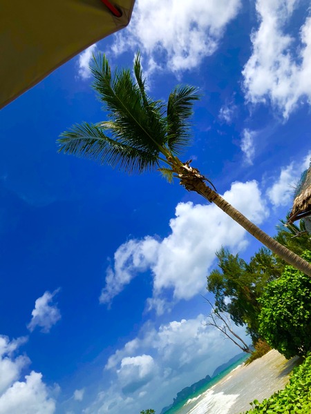 3D7AC0C5-216D-4E90-84C1-4849D9476D59