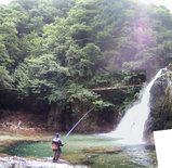 �ɤ�ɤ����