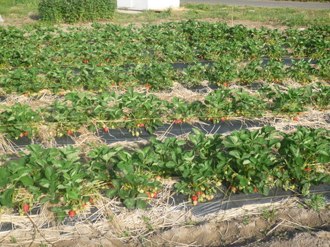 P1020088