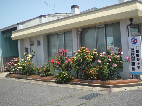 P1020096