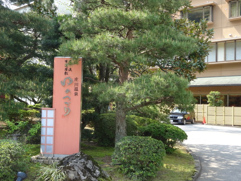 DSC00307