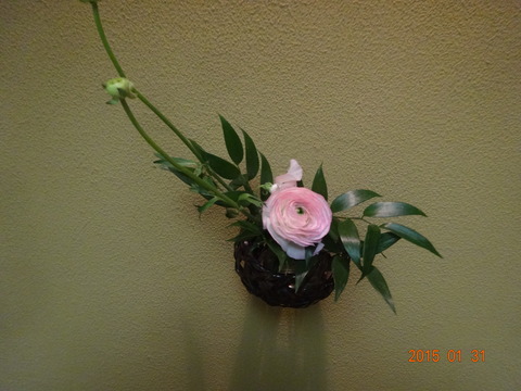 DSC01375