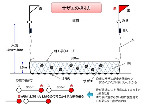 サザエ