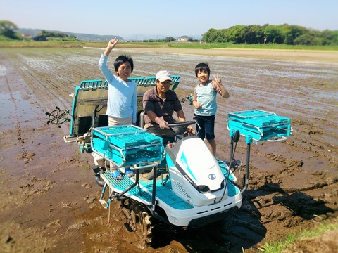 田植え