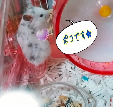 18-09-29-13-52-42-751_deco