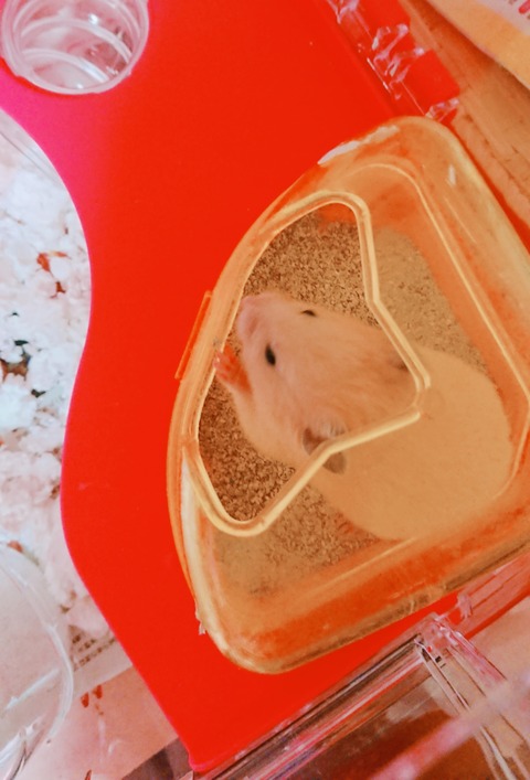 18-09-29-13-30-41-407_deco