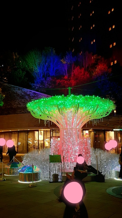 20-11-20-14-21-19-390_deco