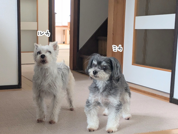 7_12_3