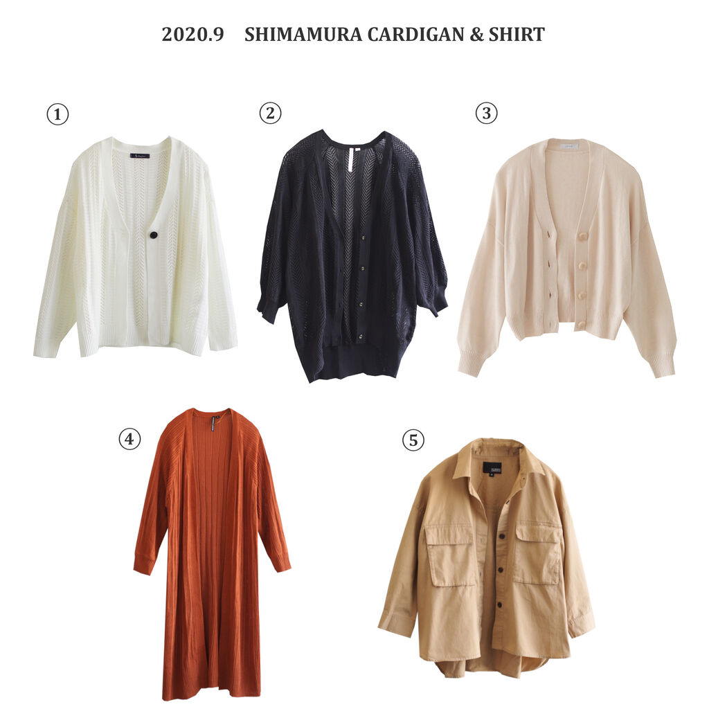 服が多い人向け クローゼット見直し スタメンアイテム100点まとめ 年9月 しまむらコーデ365日 Powered By ライブドアブログ