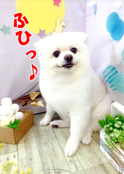 img075のコピー
