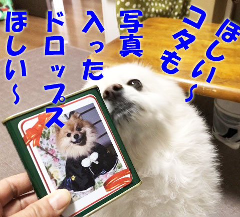 IMG_0937_Momentのコピー