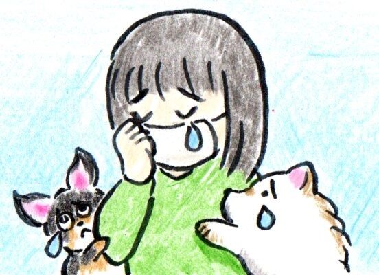 何も解決せず 泣いてばかり 腐作家のやさぐれ日記