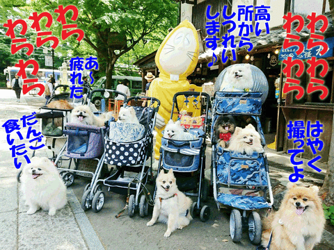 1528033148226のコピー