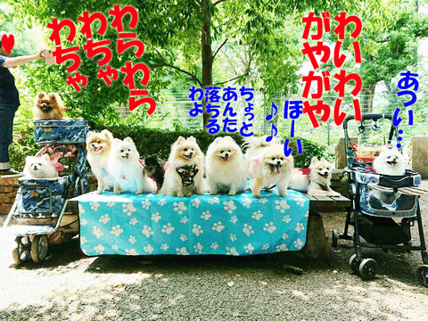 1528035297183のコピー