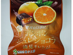 南信州菓子工房 ボンボン ジュレショコラ