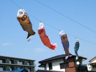 �����Τܤꣲ