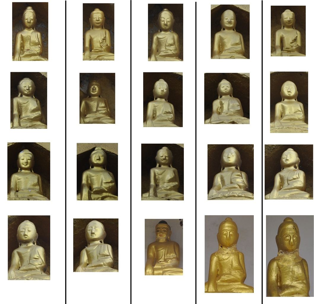 仏さんの国 Les Oiseaux 鳥旅