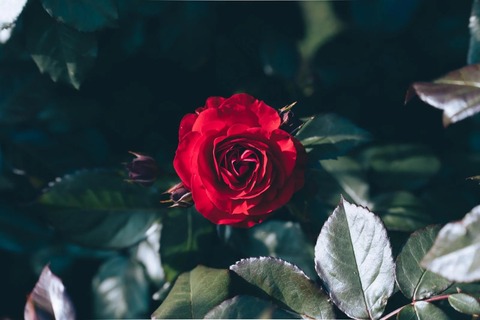 03-1_TP_V