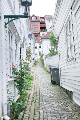 mariberugenIMG_4700_TP_V4