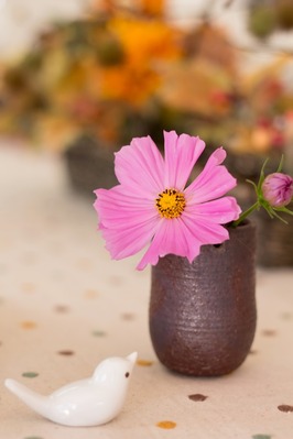 ELFA_kosumosutokotori_TP_V1