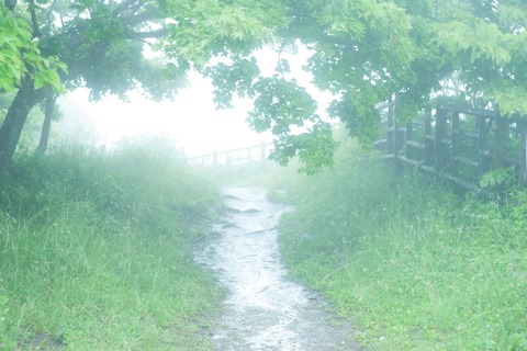 TSU863_kirinosaki_TP_V