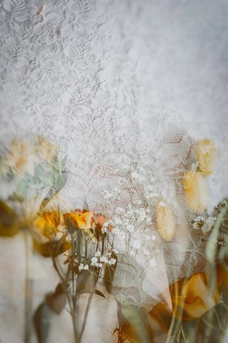 elly21515D1890_TP_V4 (1)