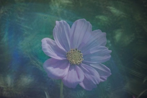 yudai_509s0008_TP_V
