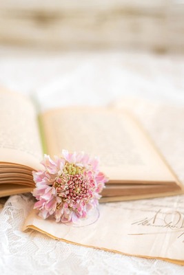 elly21515C1862_TP_V4