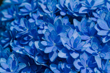 texture198192274_TP_V