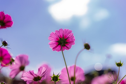 008ELA201029A_TP_V