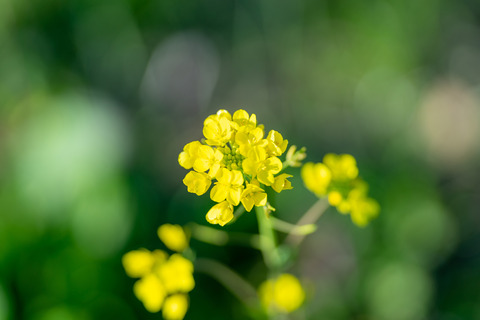 ELFA23-DSC06475_TP_V