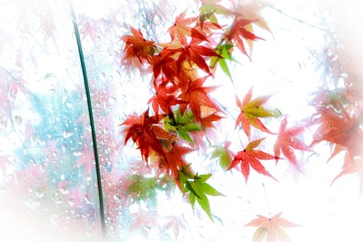 YUKI0211012_TP_V