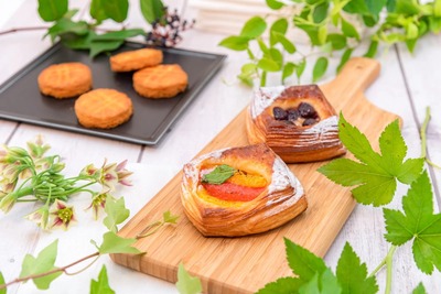 ellycollection057_TP_V