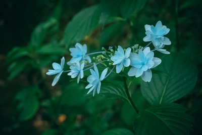 yudai_509s0055_TP_V