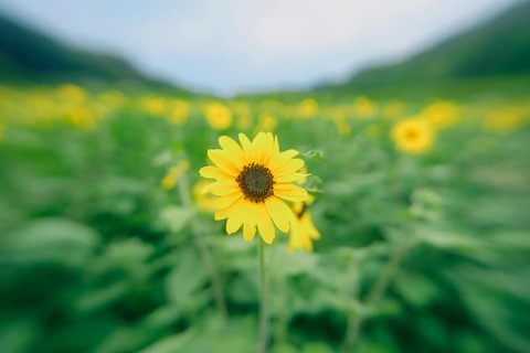 yudai_DSC02501-4_TP_V