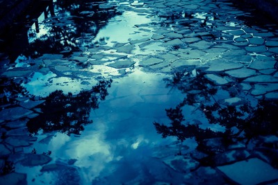 Reflection5215_TP_V